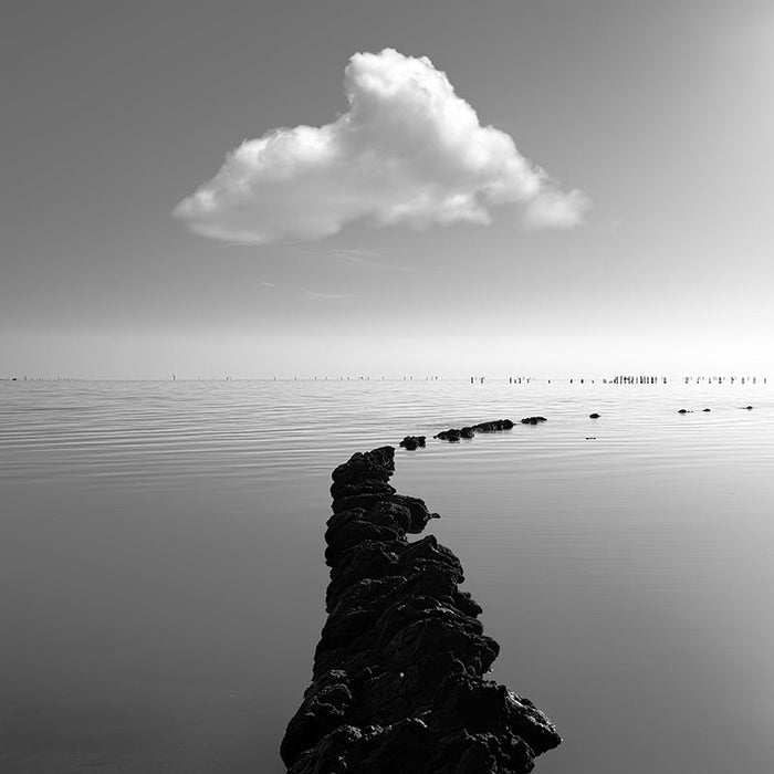 Photography | The Dell | Nick Psomiadis