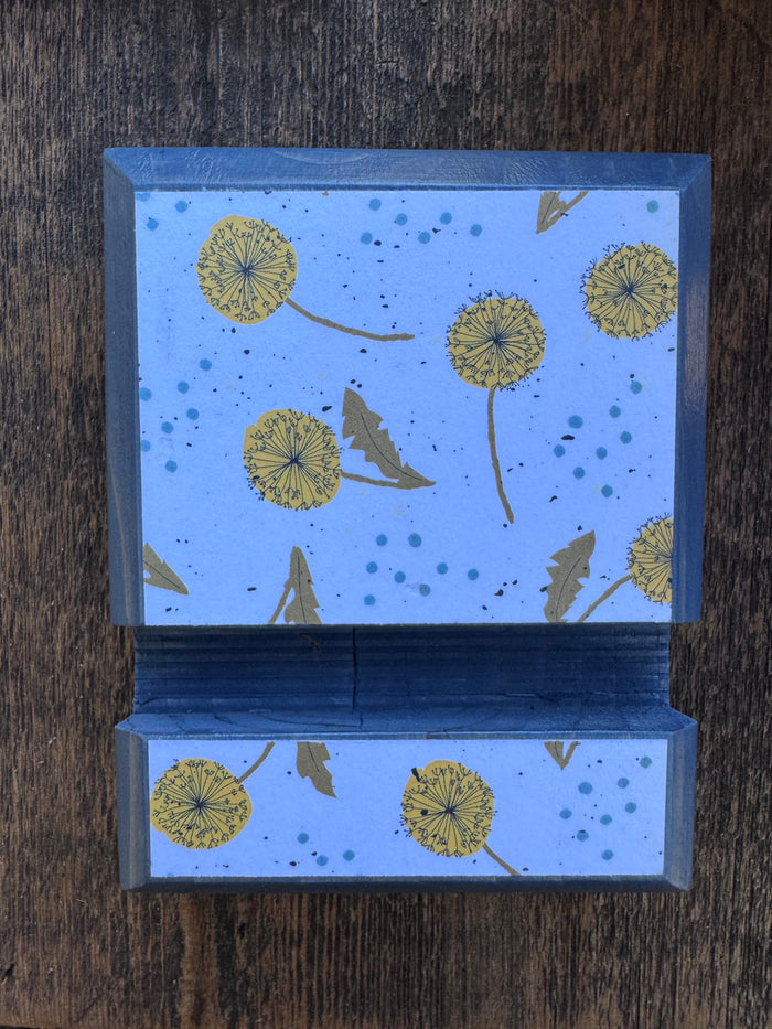 Dandelion Dream