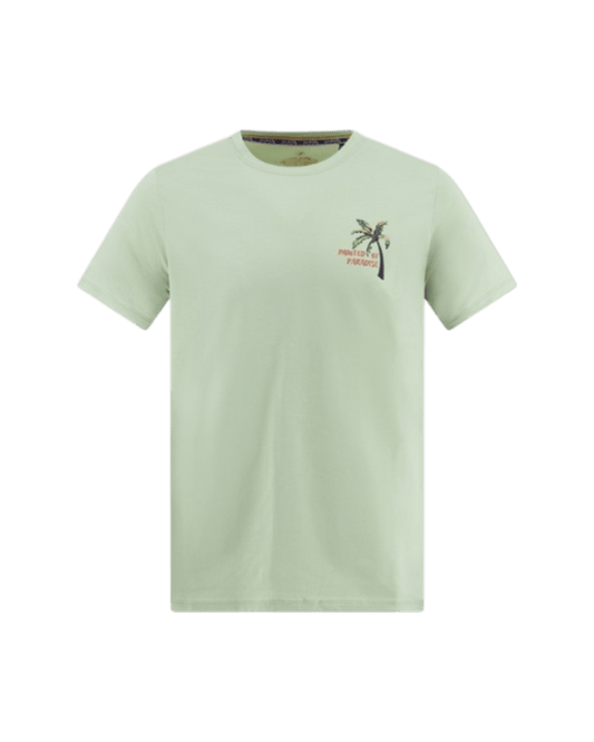 A FISH NAMED FRED T-shirt palm painting green