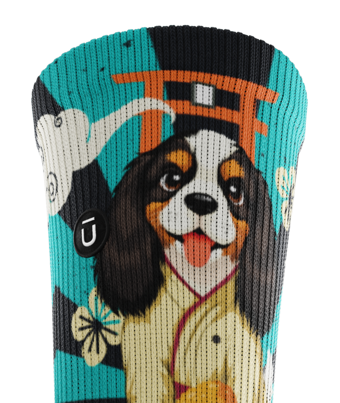Barkatsu Athletic Crew Socks
