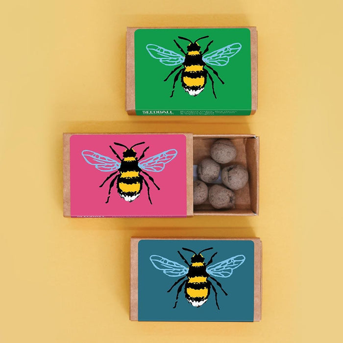 Bee Seedball Wildflower Boxes &Keep