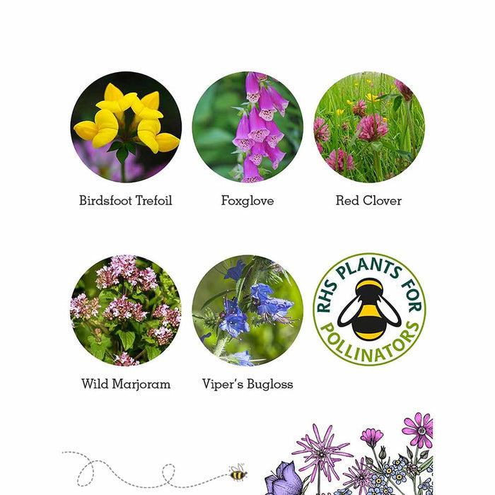 Bee Seedball Wildflower Boxes &Keep