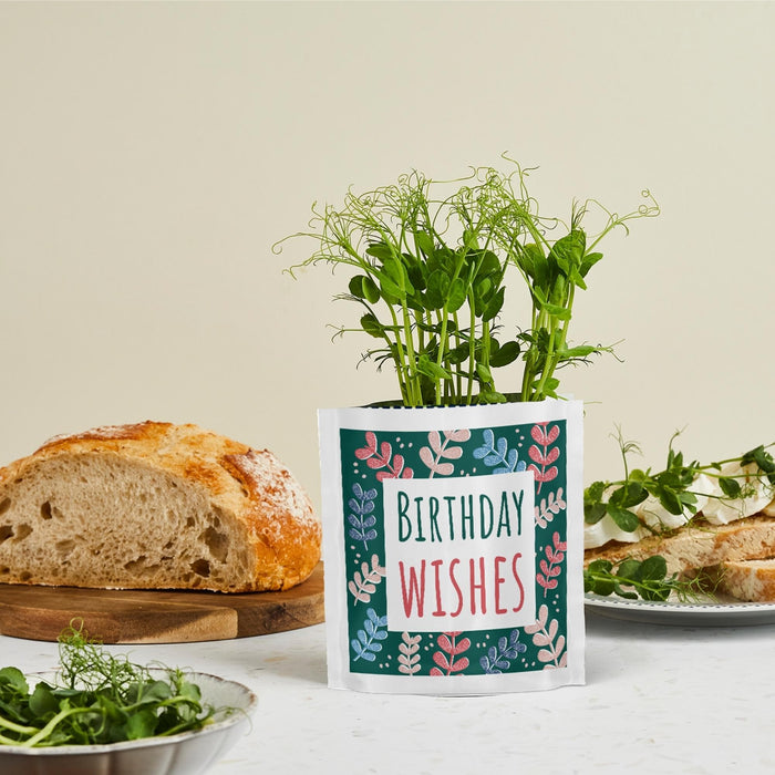 birthday wishes greens and greetings pea shoots garnish.jpg