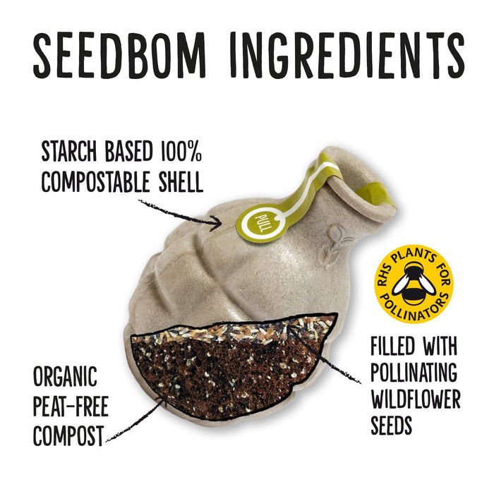 Butterflybom Seedbom