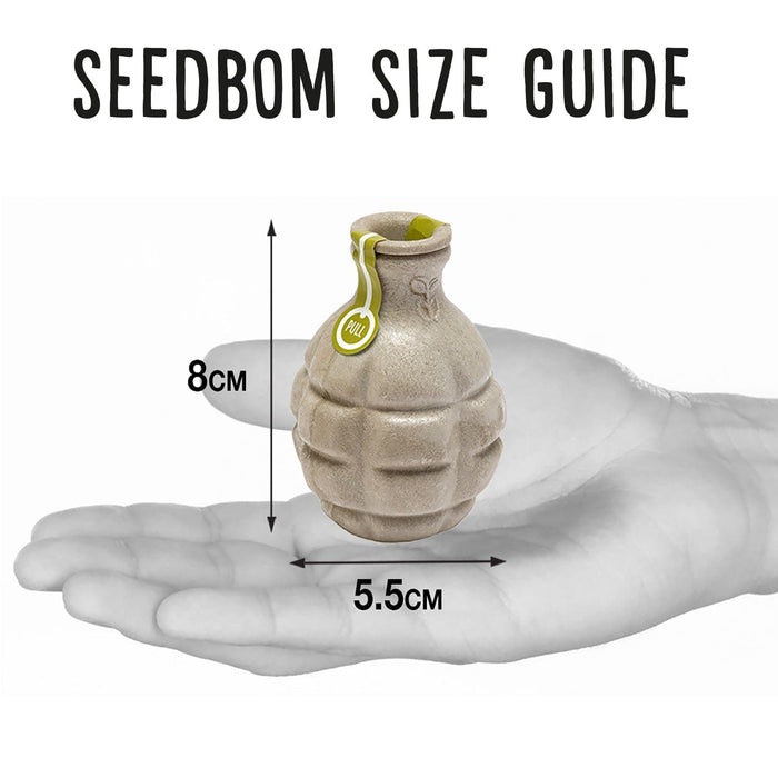 Butterflybom Seedbom