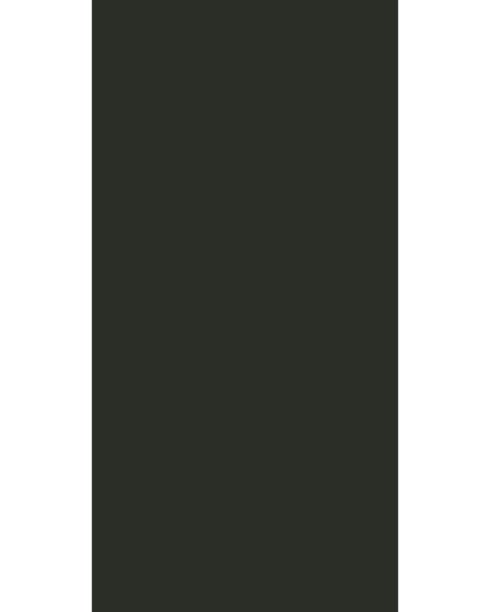 Charcoal - NL 152