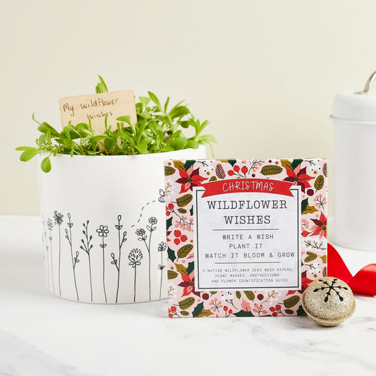 Christmas Wildflower Wishes Flower Gift Set