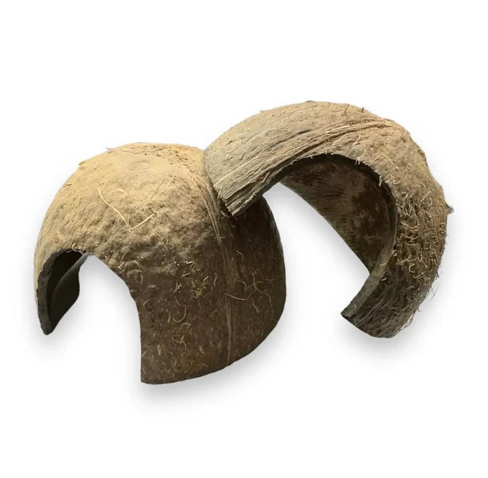 Coconut shell archway decoration in Coconut Hut product