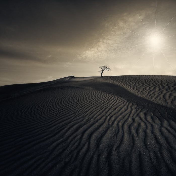 Desert Waves | Nick Psomiadis