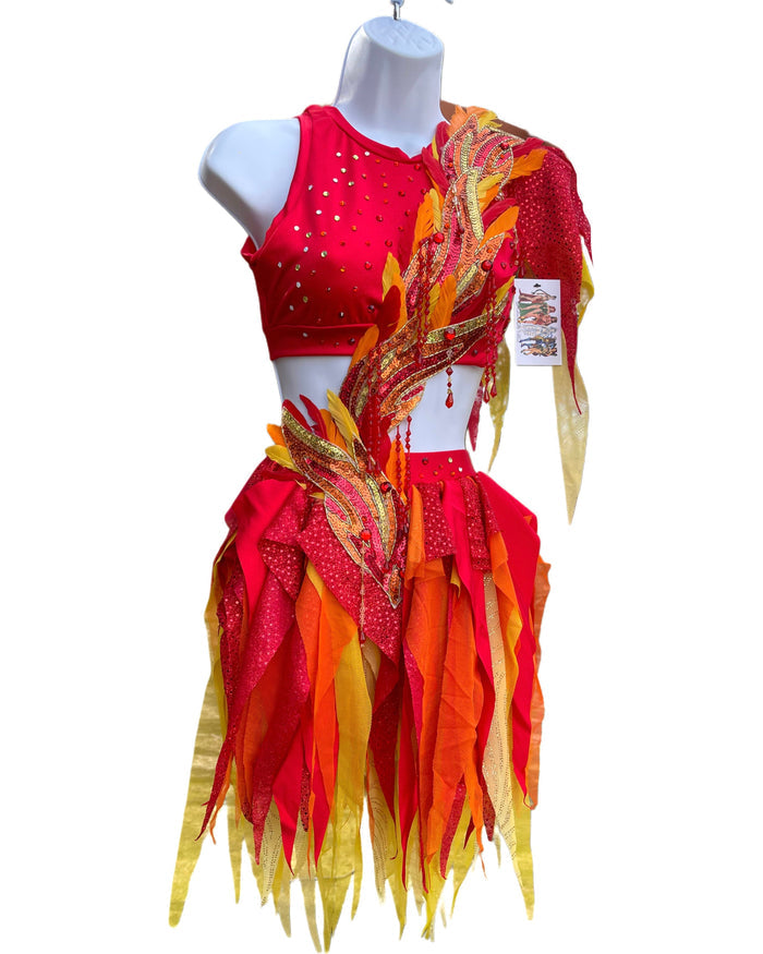 Ember Flame Phoenix Monokini Fairy Dance Costume Rave Bra