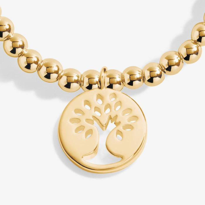‘Family’ - 6603 - Gold Bracelet