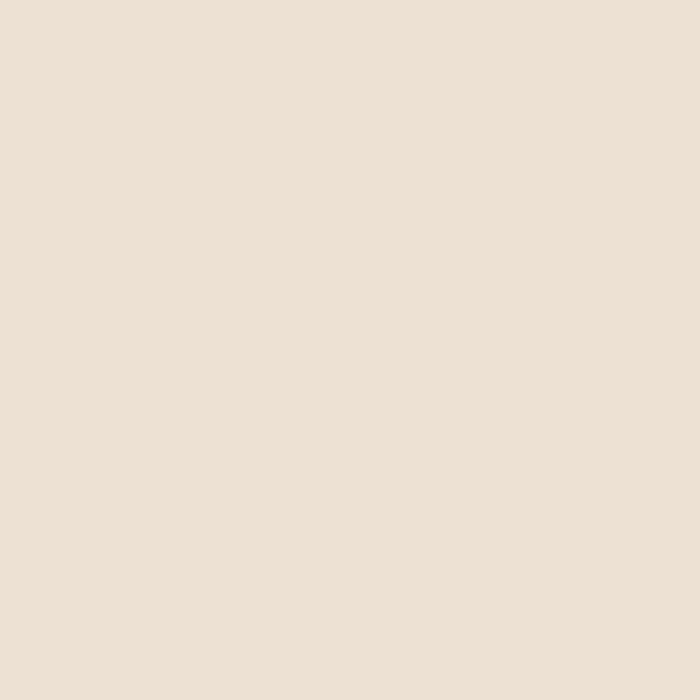 Foxbury Crossbody-Cottage Cream-Image 5-Vera Bradley