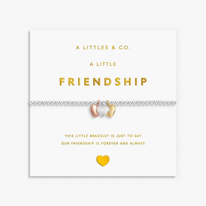 'Friendship’ - 9768 - Silver Bracelet