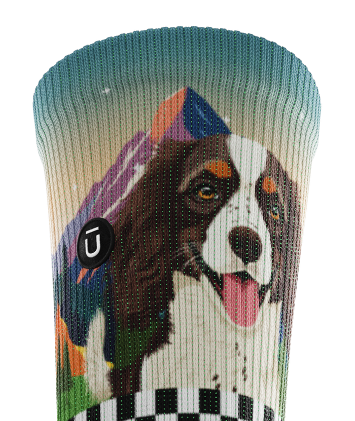 Fur-st to Finish Athletic Crew Socks