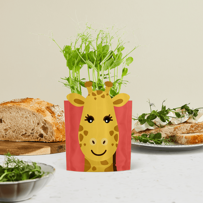 'Gemma' Giraffe Growable Microgreen Greetings Card