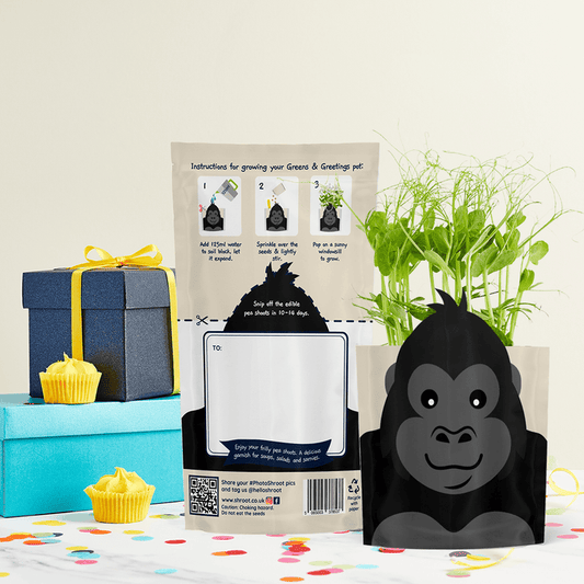 'George' Gorilla Growable Microgreen Greetings Card