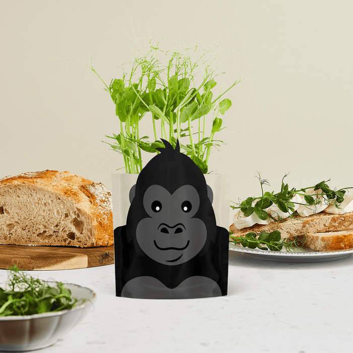'George' Gorilla Growable Microgreen Greetings Card