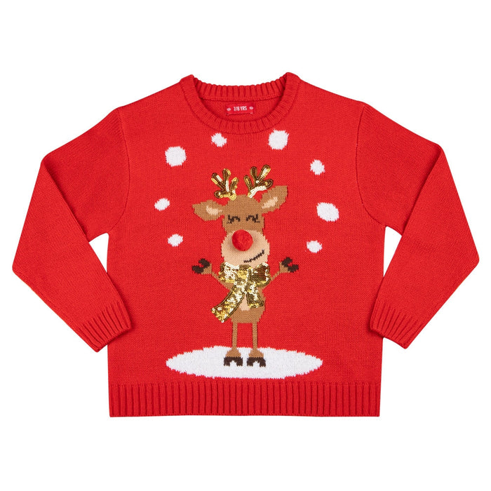 Girls Xmas Jumper 331240