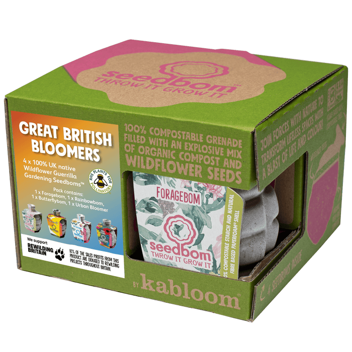 Great British Bloomers Seedbom Gift Box
