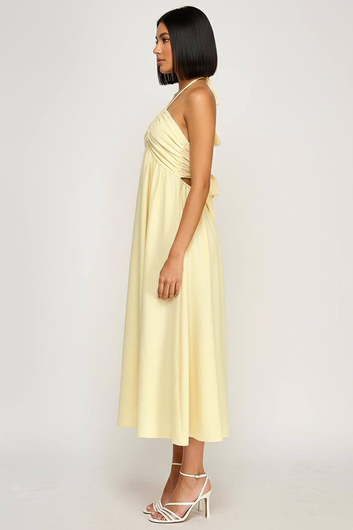 Halter Neck Open Back Self Tie Maxi Dress - BRICK