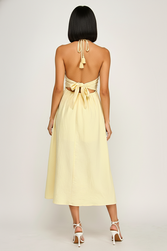 Halter Neck Open Back Self Tie Maxi Dress - BRICK