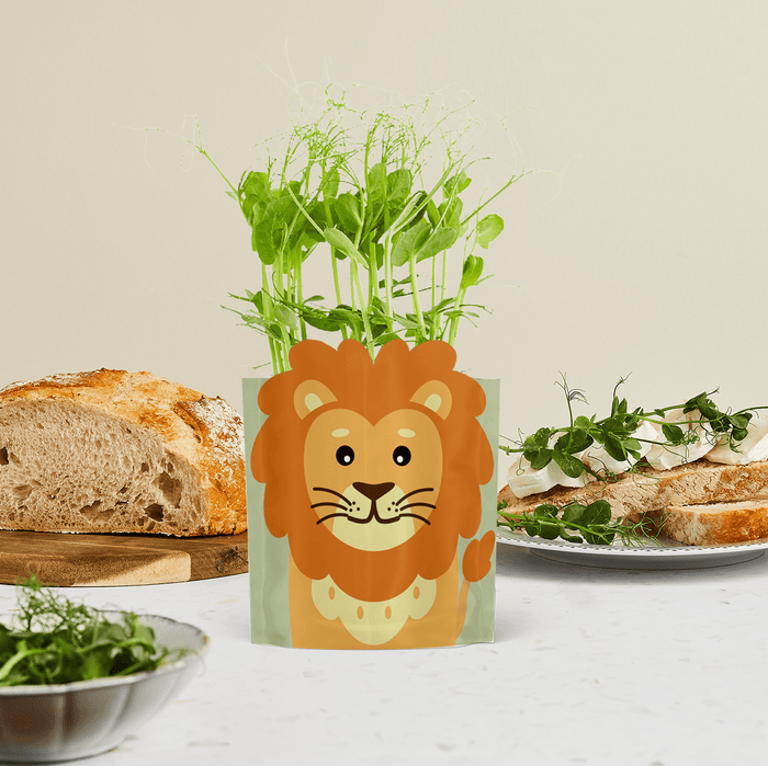 'Leo' Lion Growable Microgreen Greetings Card