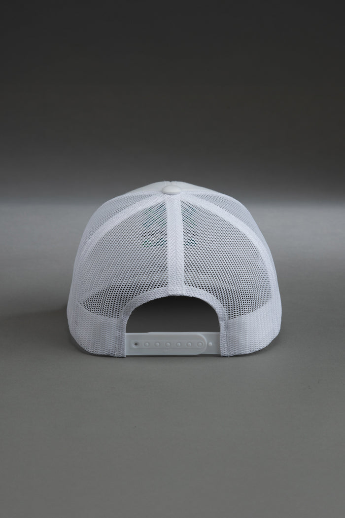 Gray mesh cap on a gray background || white with color logo