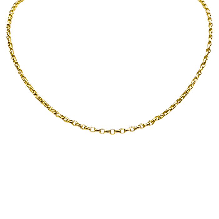 Lola Signature Rolo Chain 3mm Necklace - Gold