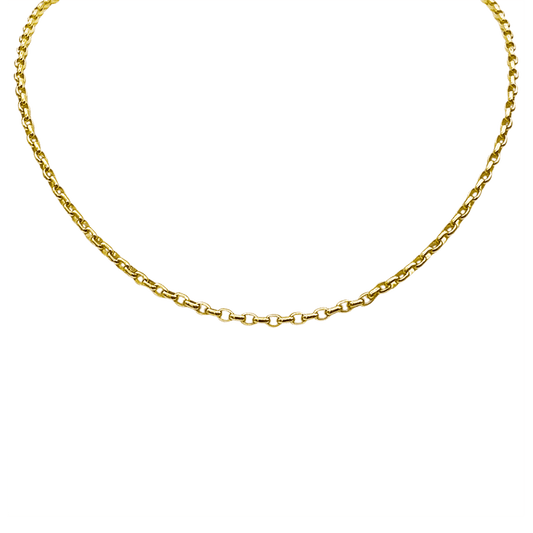 Lola Signature Rolo Chain 3mm Necklace - Gold