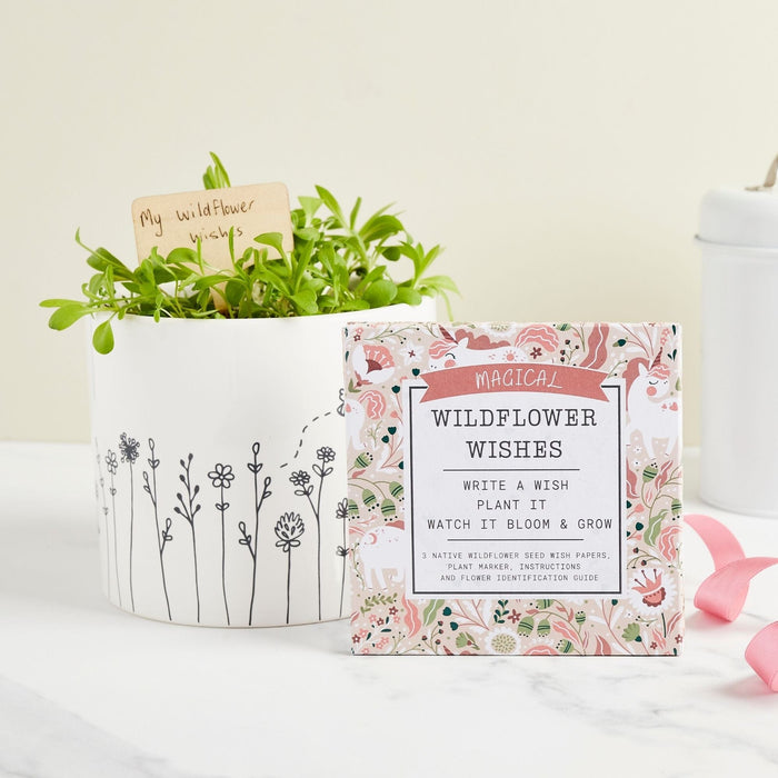 Magical Wildflower Wishes Flower Gift Set