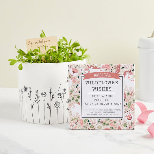 Magical Wildflower Wishes Flower Gift Set