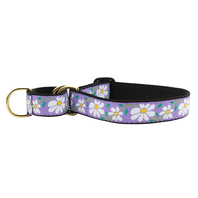 DAISY-DOG-COLLAR-MARTINGALE-NO-PULL