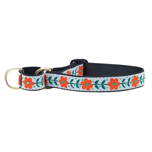 ORANGE-YOU-PRETTY-DOG-COLLAR-MARTINGALE-NO-PULL