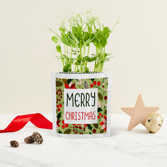'Merry Christmas' Growable Microgreen Greetings Card