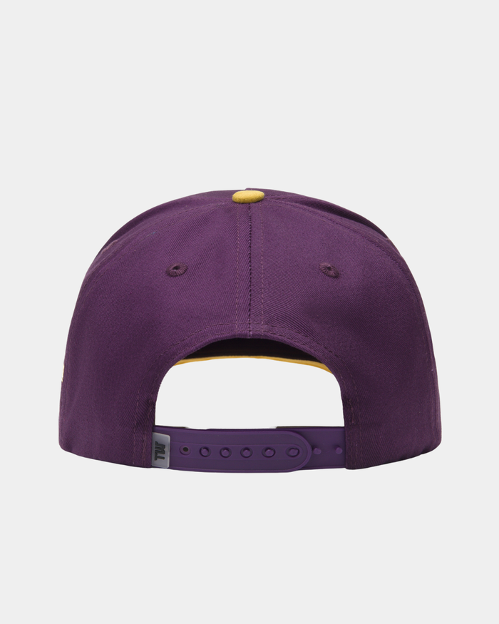 Minnesota State Mavericks Purple Hat