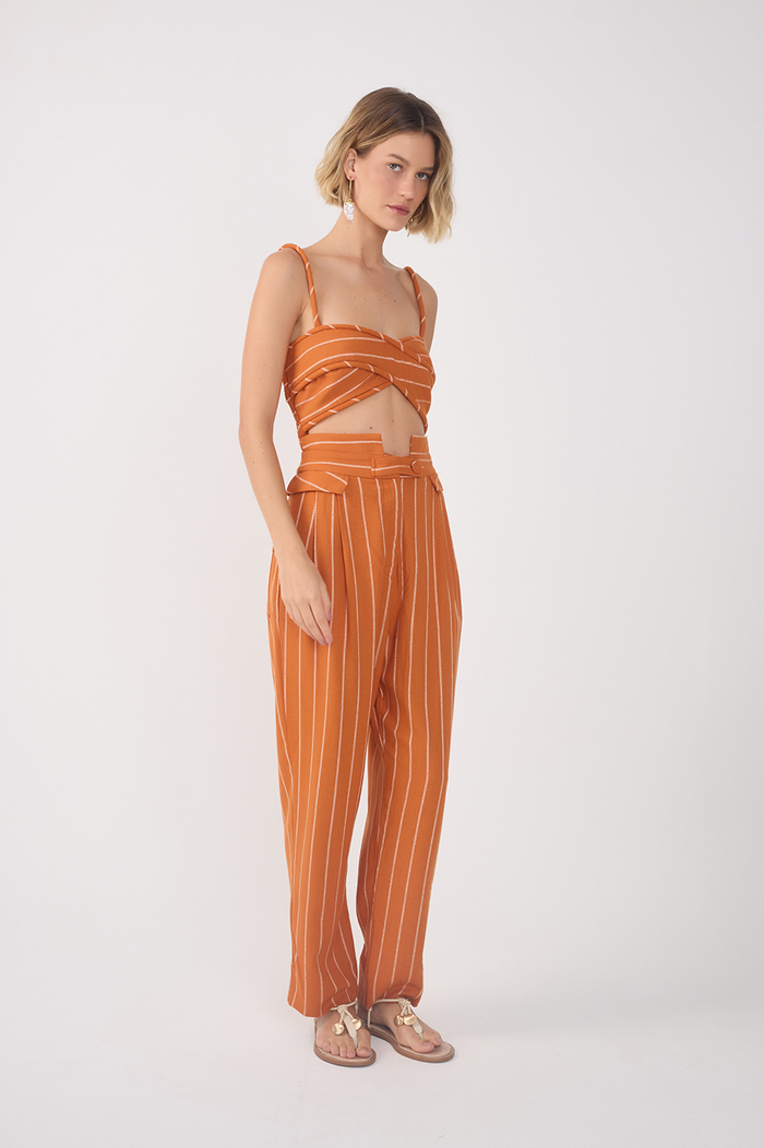 Ochre Striped Pleated Wide-Leg Pants_2