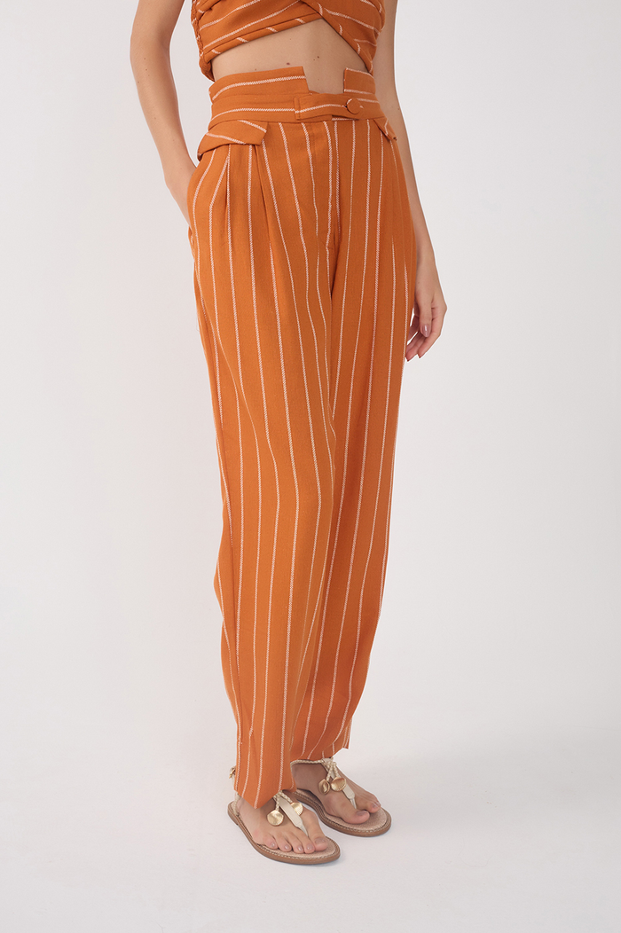 Ochre Striped Pleated Wide-Leg Pants_3