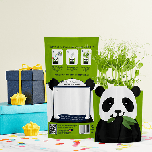 'Paul' Panda Growable Microgreen Greetings Card