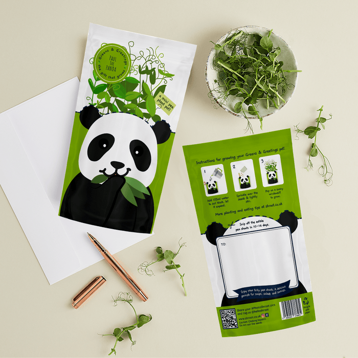 'Paul' Panda Growable Microgreen Greetings Card