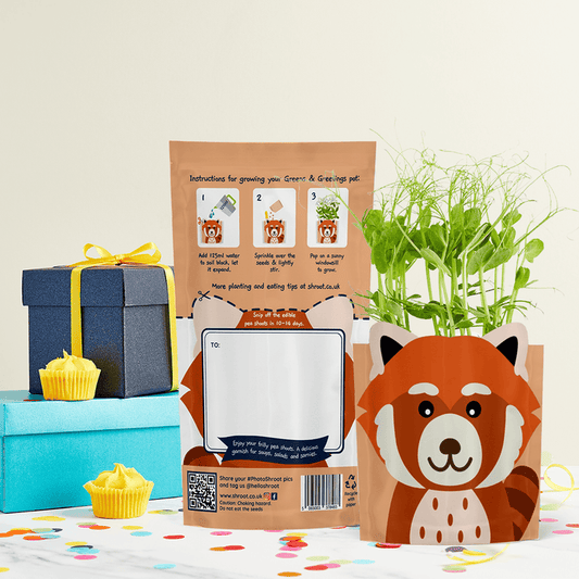 'Ruby' Red Panda Growable Microgreen Greetings Card