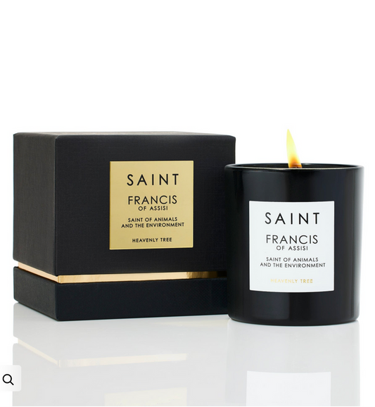 saint Francis of animals and the environment