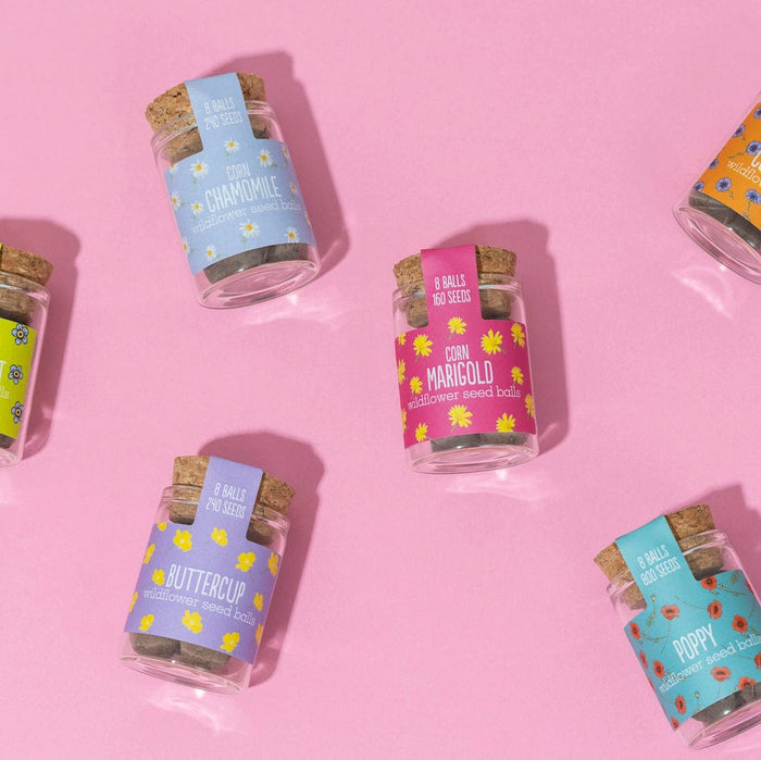 Seedball Wildflower Jars &Keep
