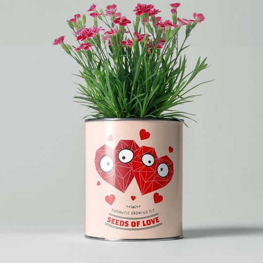 Seeds of Love Growing Kit by The Plant Gift Co. &Keep