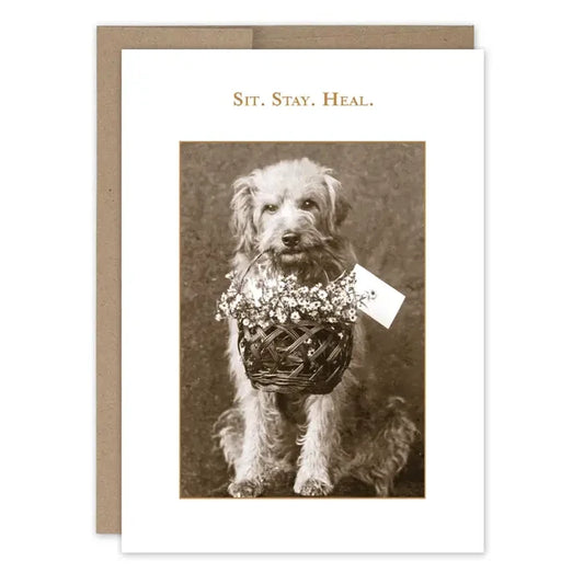 Sit. Stay. Heal. Get Well Card