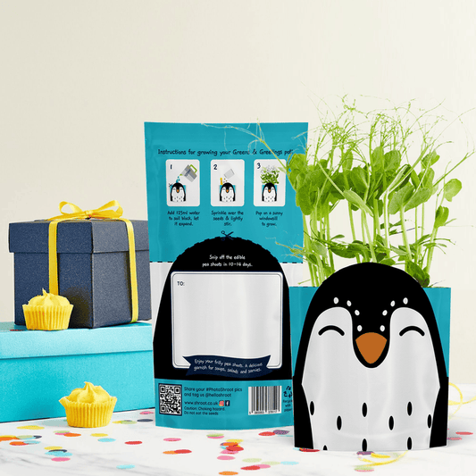 'Sonny' Penguin Growable Microgreen Greetings Card
