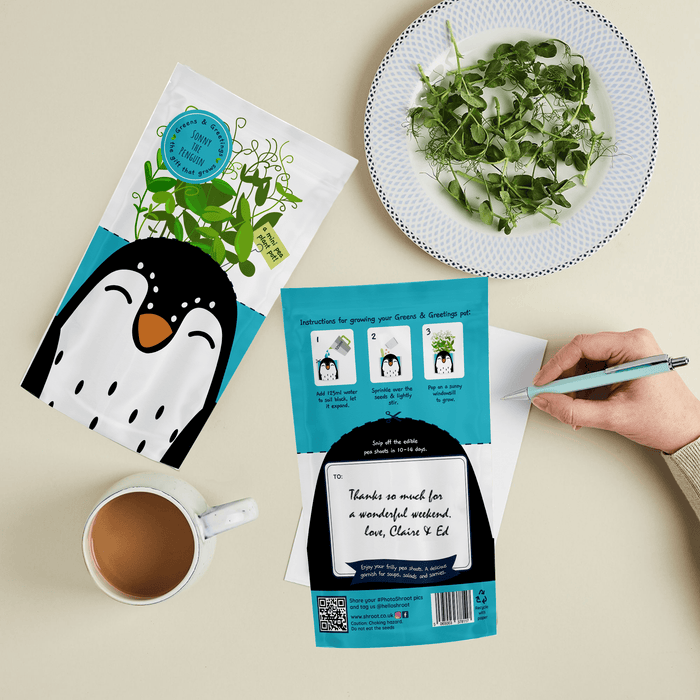 'Sonny' Penguin Growable Microgreen Greetings Card