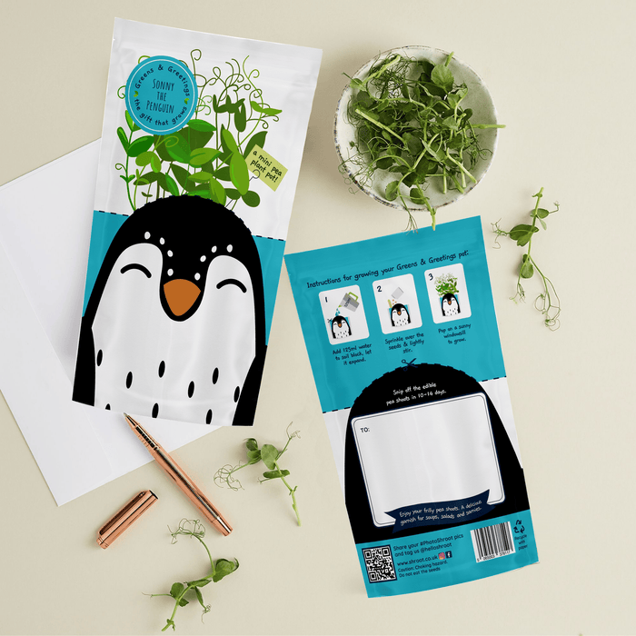 'Sonny' Penguin Growable Microgreen Greetings Card
