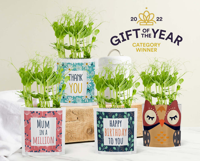 'Sonny' Penguin Growable Microgreen Greetings Card