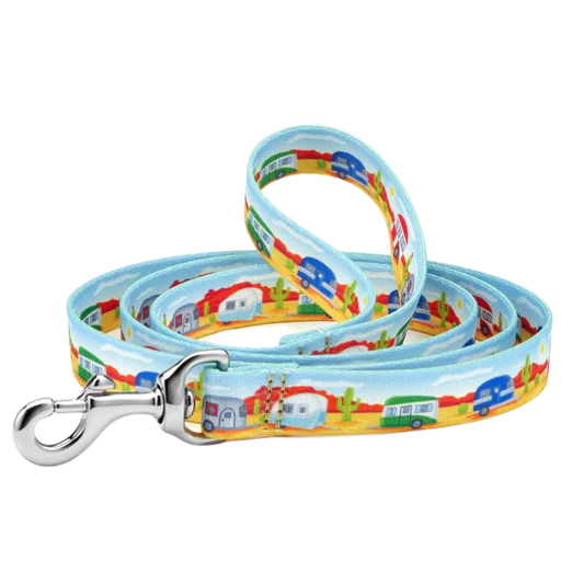 CAMP-OUT-SPORT-DOG-LEASH
