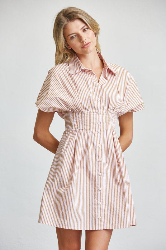 Stripe Cotton Shirt Mini Dress with Smocked Waist